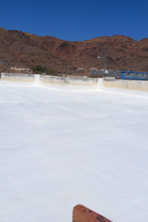 تصميم بدون عنوان (21)